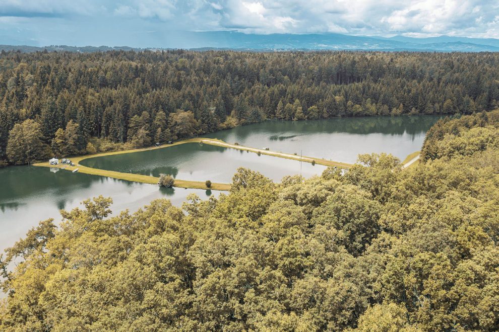 paxnatura Naturbestattung - Waldfriedhof Wundschuher See ein einzigartiges Panorama, Baumbestattung eingebettet in die Wundschuher Teiche